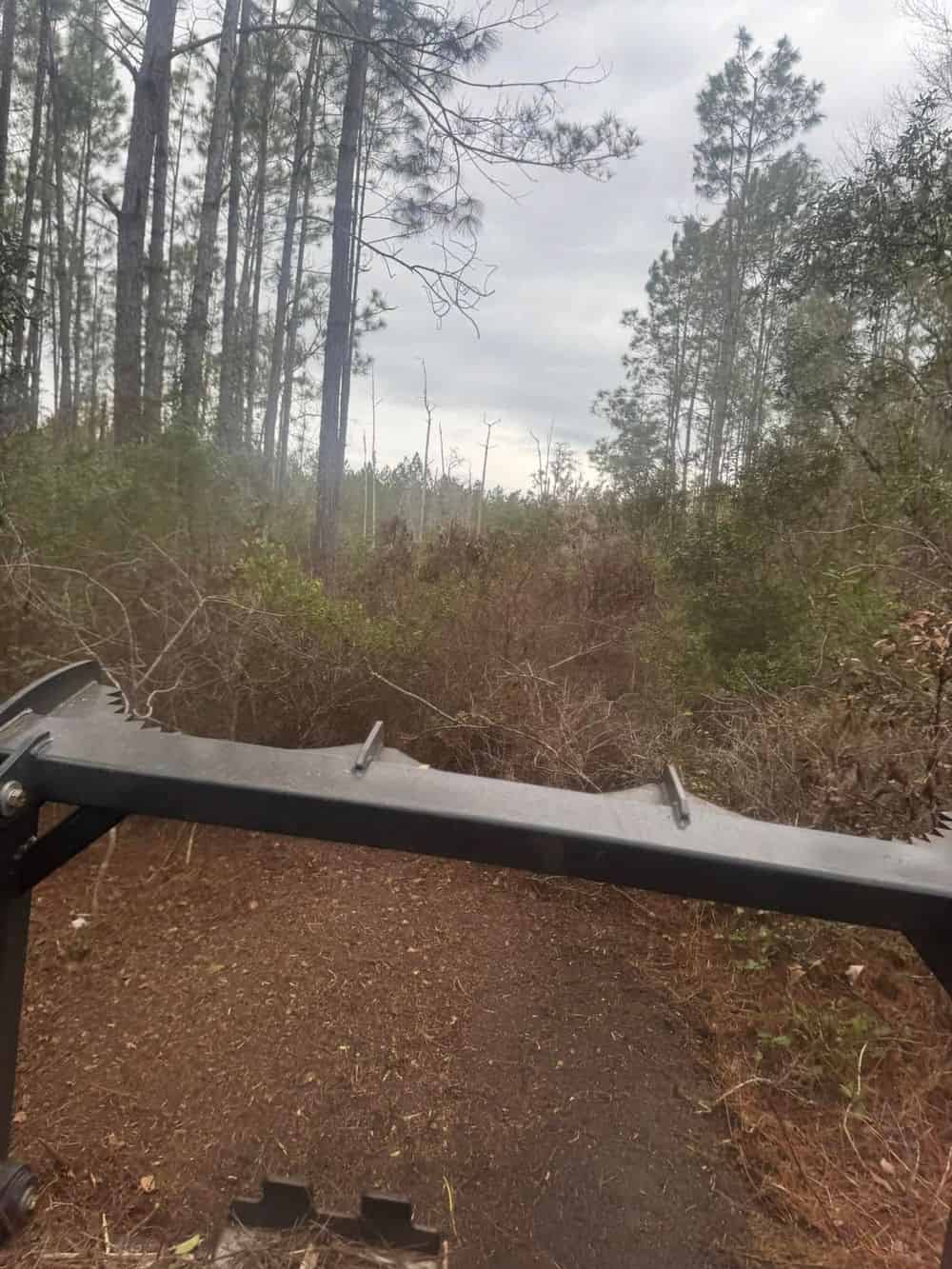Storm Debris Cleanup image