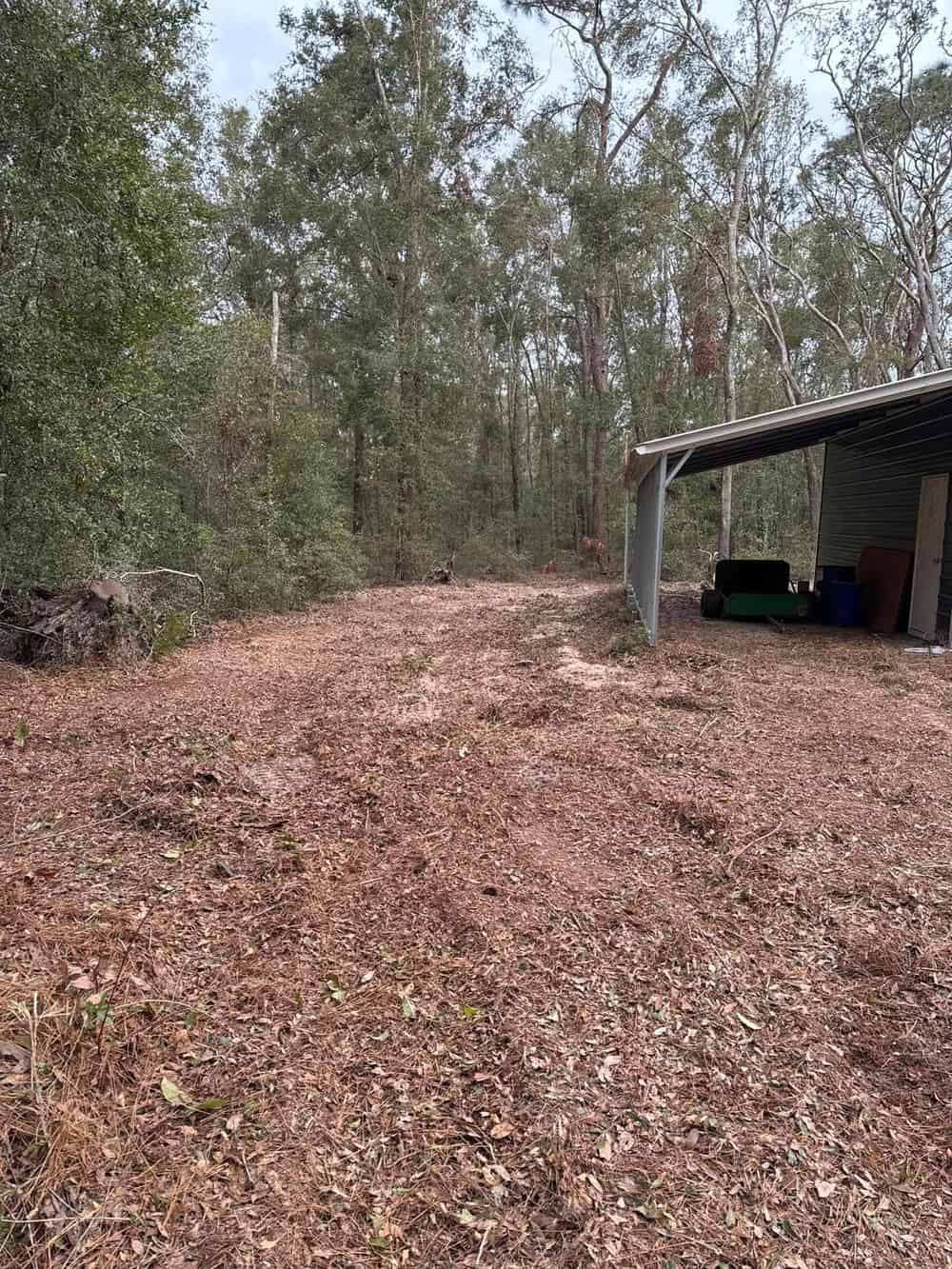 Property Cleanup Services image