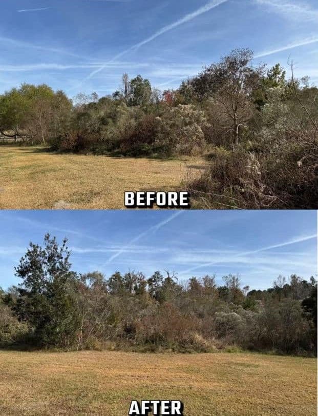 Before and after transformation of a cleared area showing significant vegetation removal.