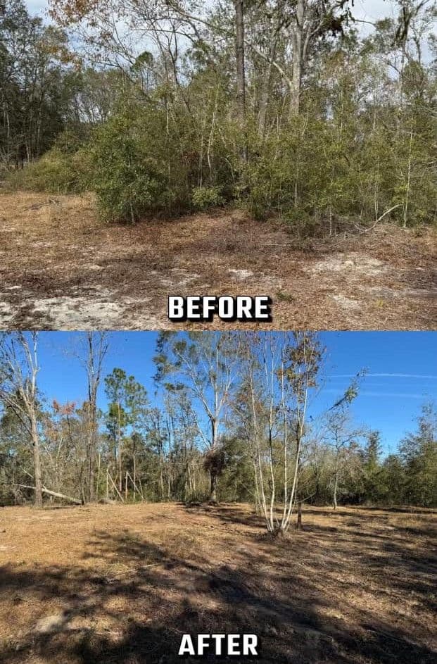 Before and after image showing land clearing with improved visibility and tree removal.