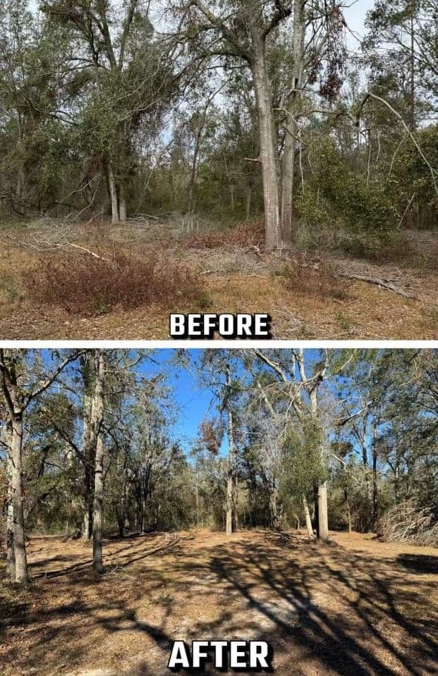 Before and after images of forest land, showcasing significant tree removal and clearing.