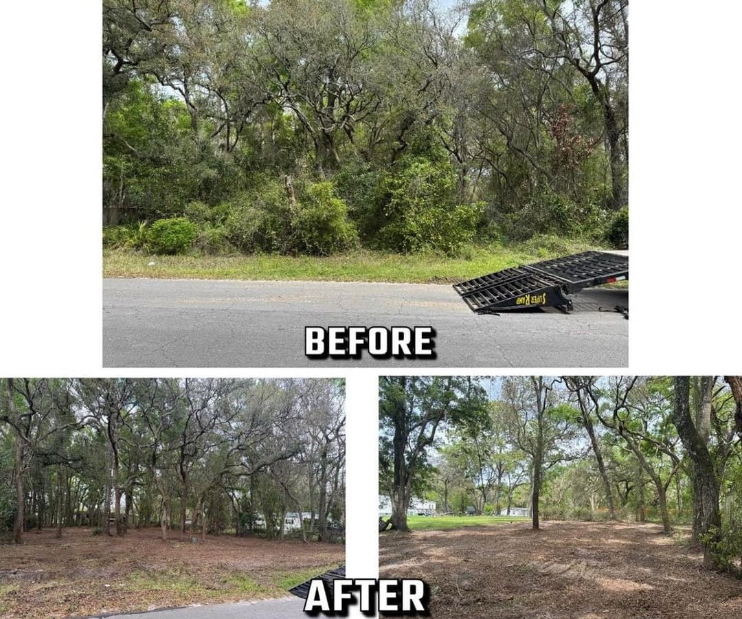 Before and after images of land clearing, showing dense foliage transformed into open space.