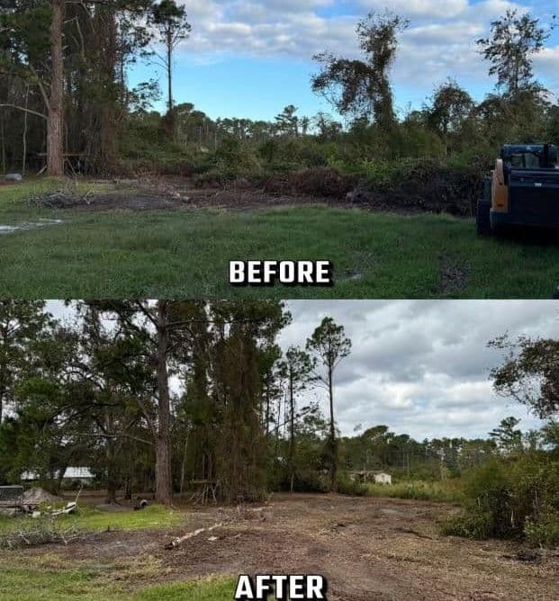 Before and after landscape transformation showcasing cleared land and improved visibility.
