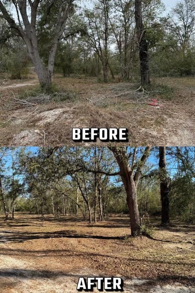 Before and after transformation of a wooded area, showcasing tree removal and land clearing.
