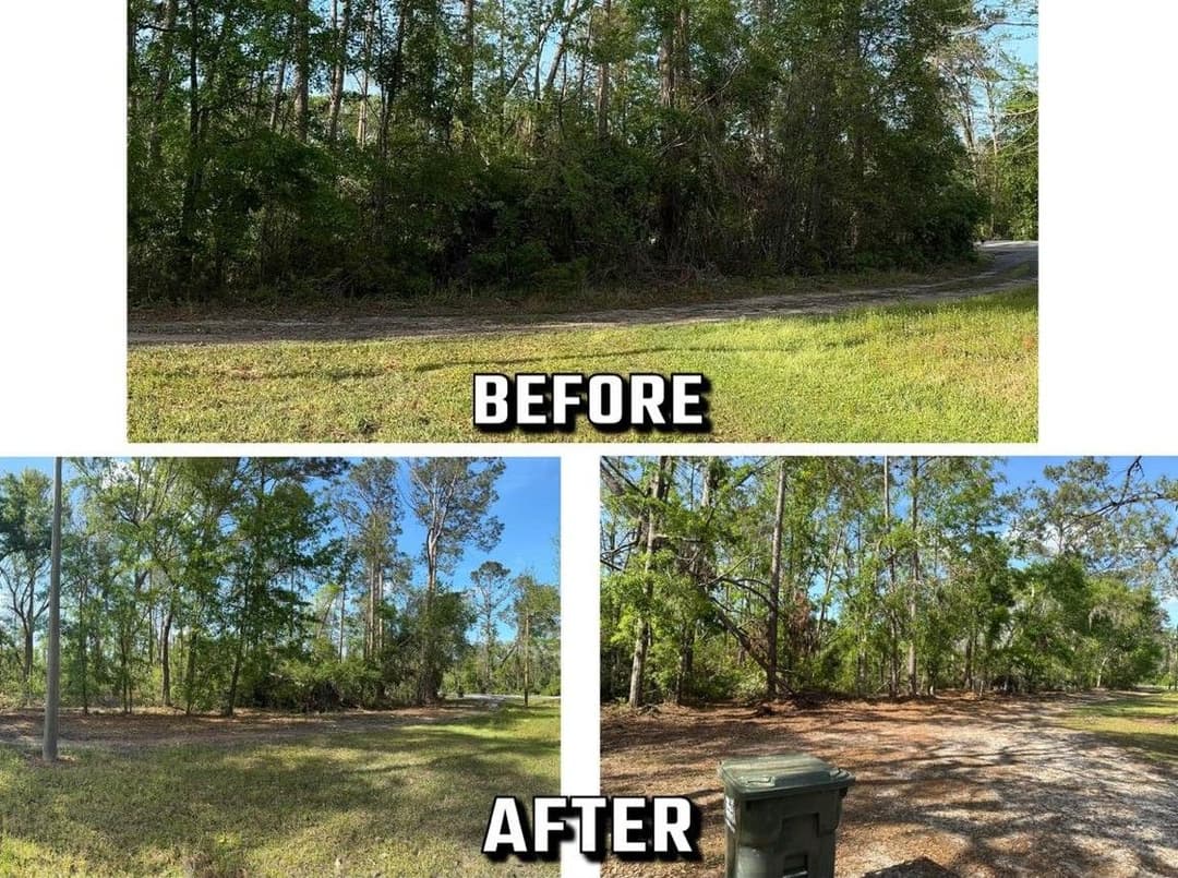 Before and after transformation of a wooded area, showcasing improved landscaping and clarity.