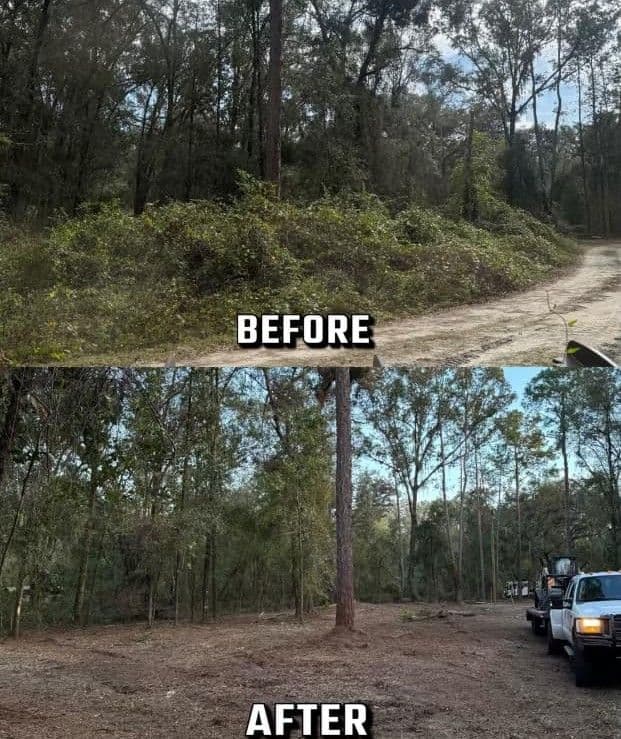 Before and after landscape transformation showcasing deforestation and cleared land.