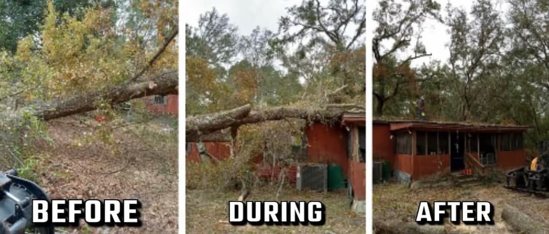 Tree removal process: before, during, and after clearing fallen tree from house.