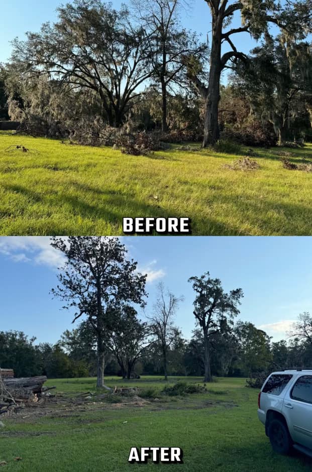 Before and after images of tree clearing project, showcasing restored green landscape.