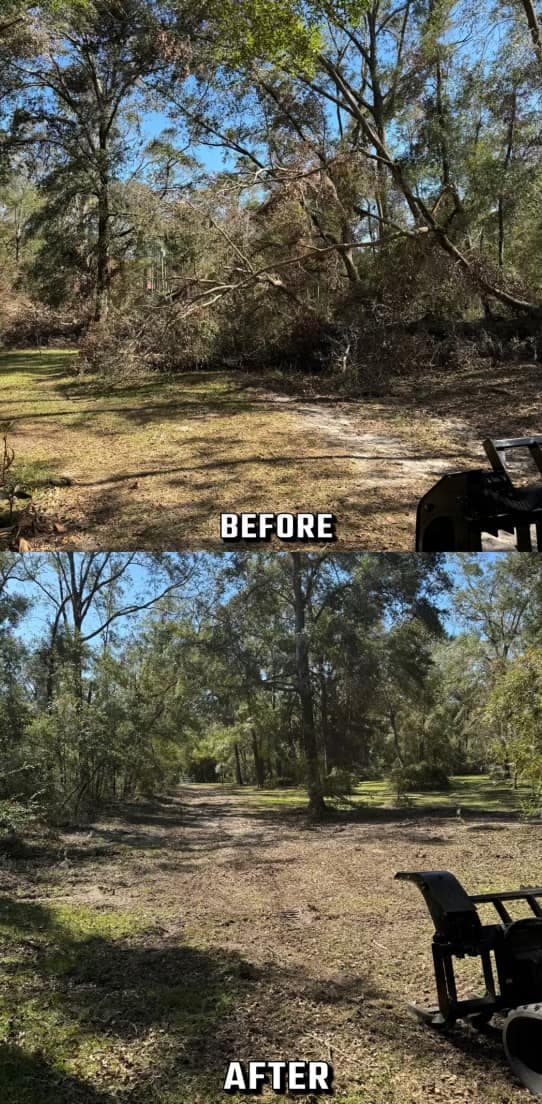 Before and after comparison of a cleared yard, showcasing tree removal progress.