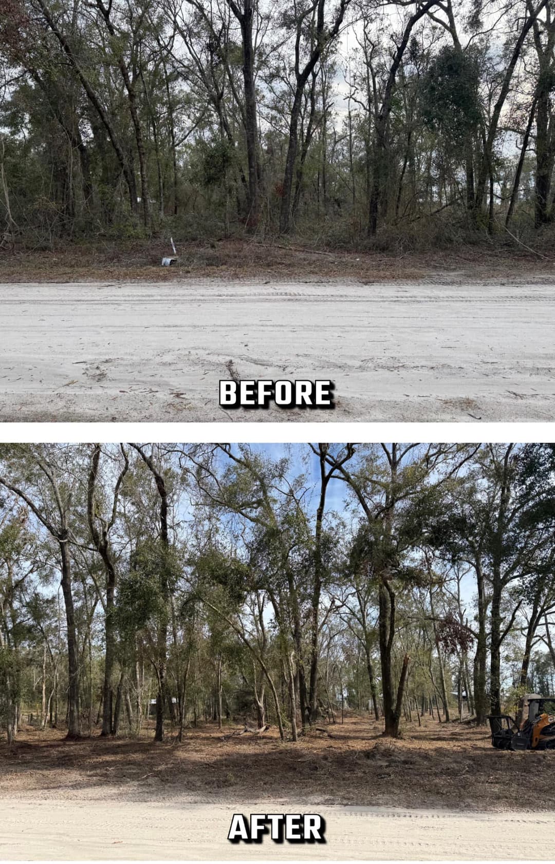 Before and after images of forest clearing, showcasing improved visibility and maintenance.
