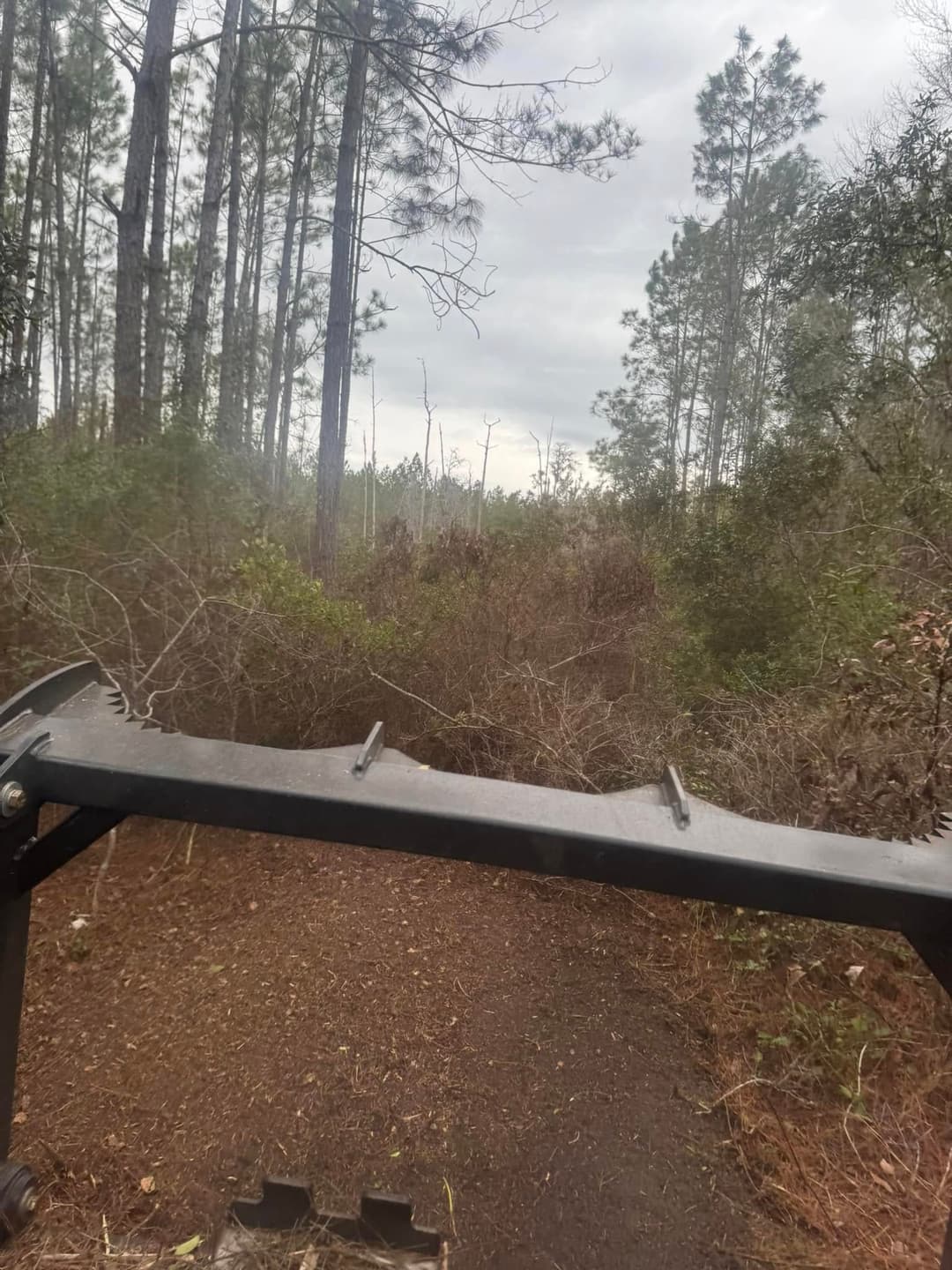View from an ATV navigating a dense forest trail with overgrown vegetation.