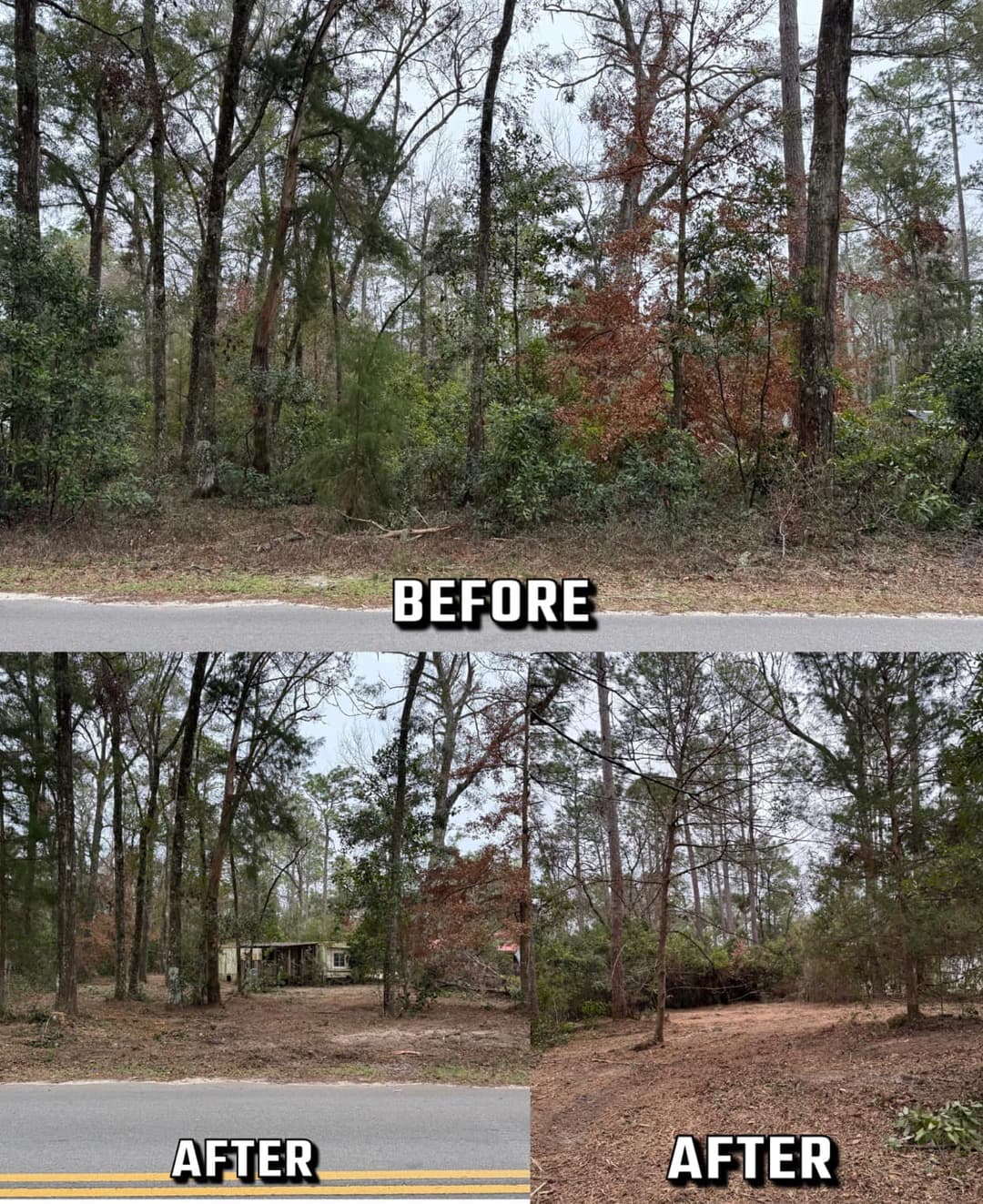 Before and after landscaping transformation of a wooded area along a road.
