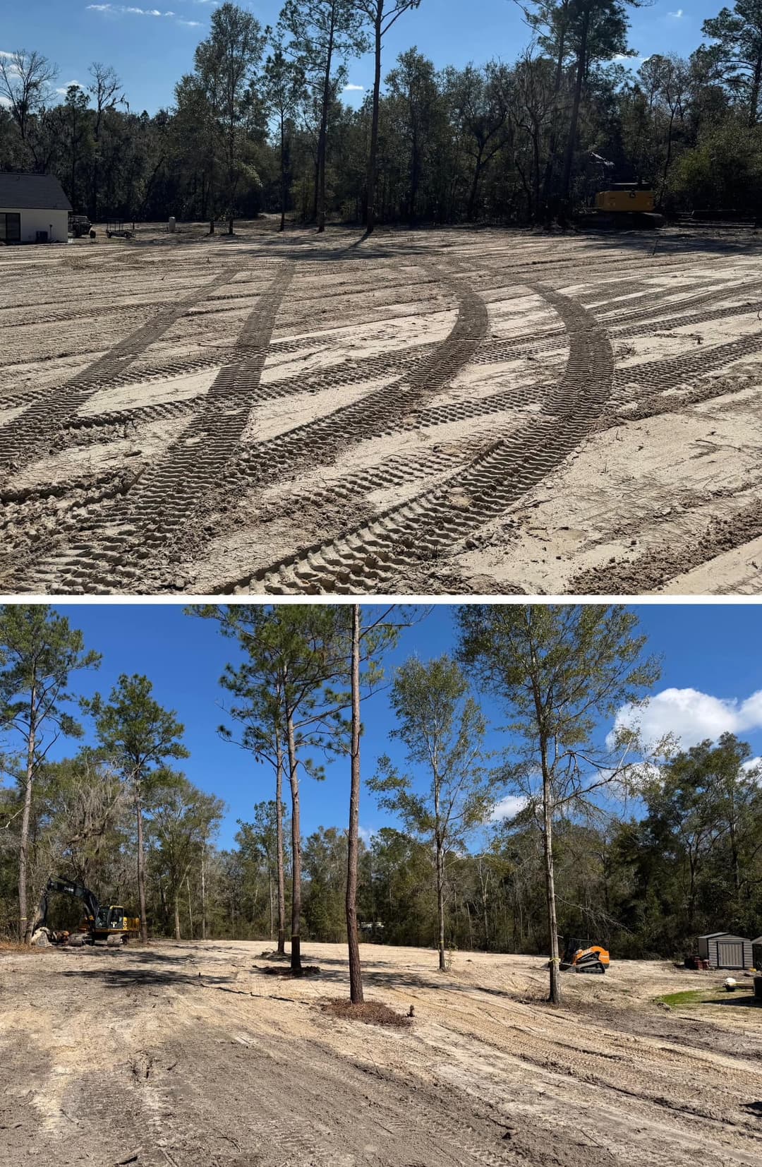 Cleared land with tire tracks and trees, preparing for construction in a wooded area.