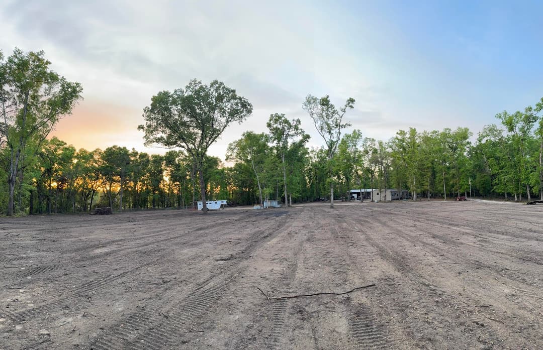 Cleared land with trees at sunrise, showcasing development potential and natural surroundings.