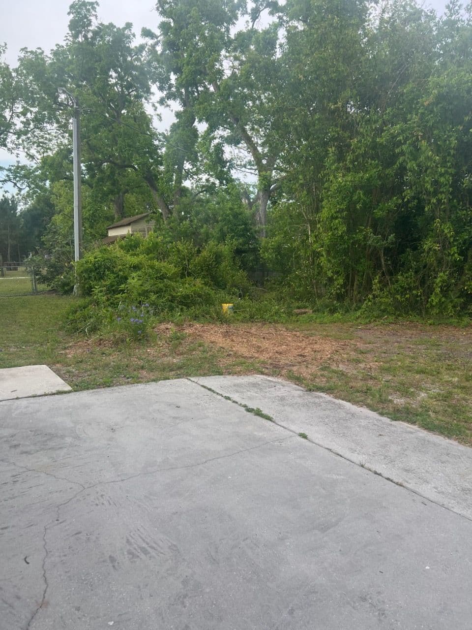 Expert Forestry Mulching in Lake City FL image