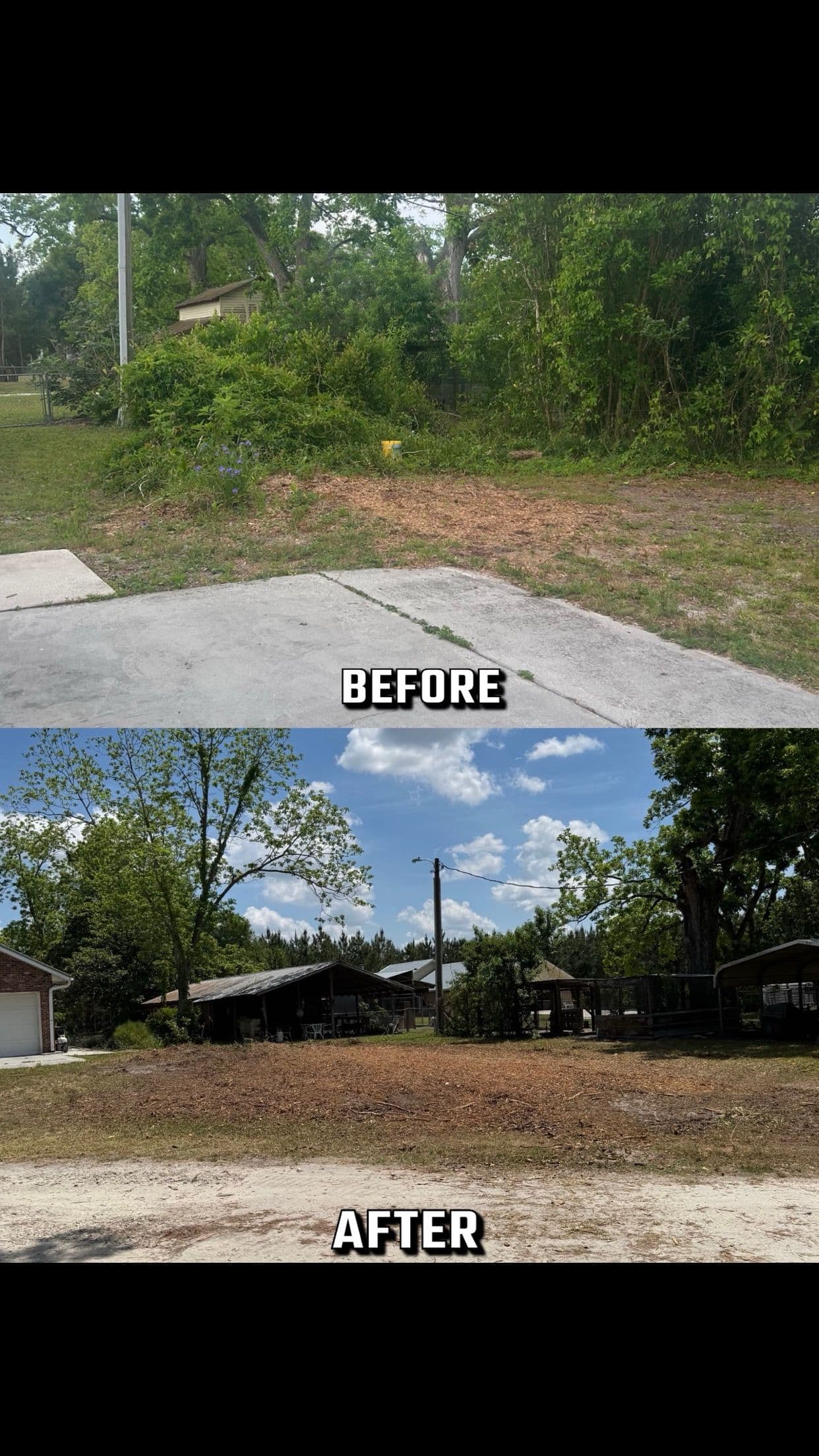 Transforming Wild Yards in Lake City FL