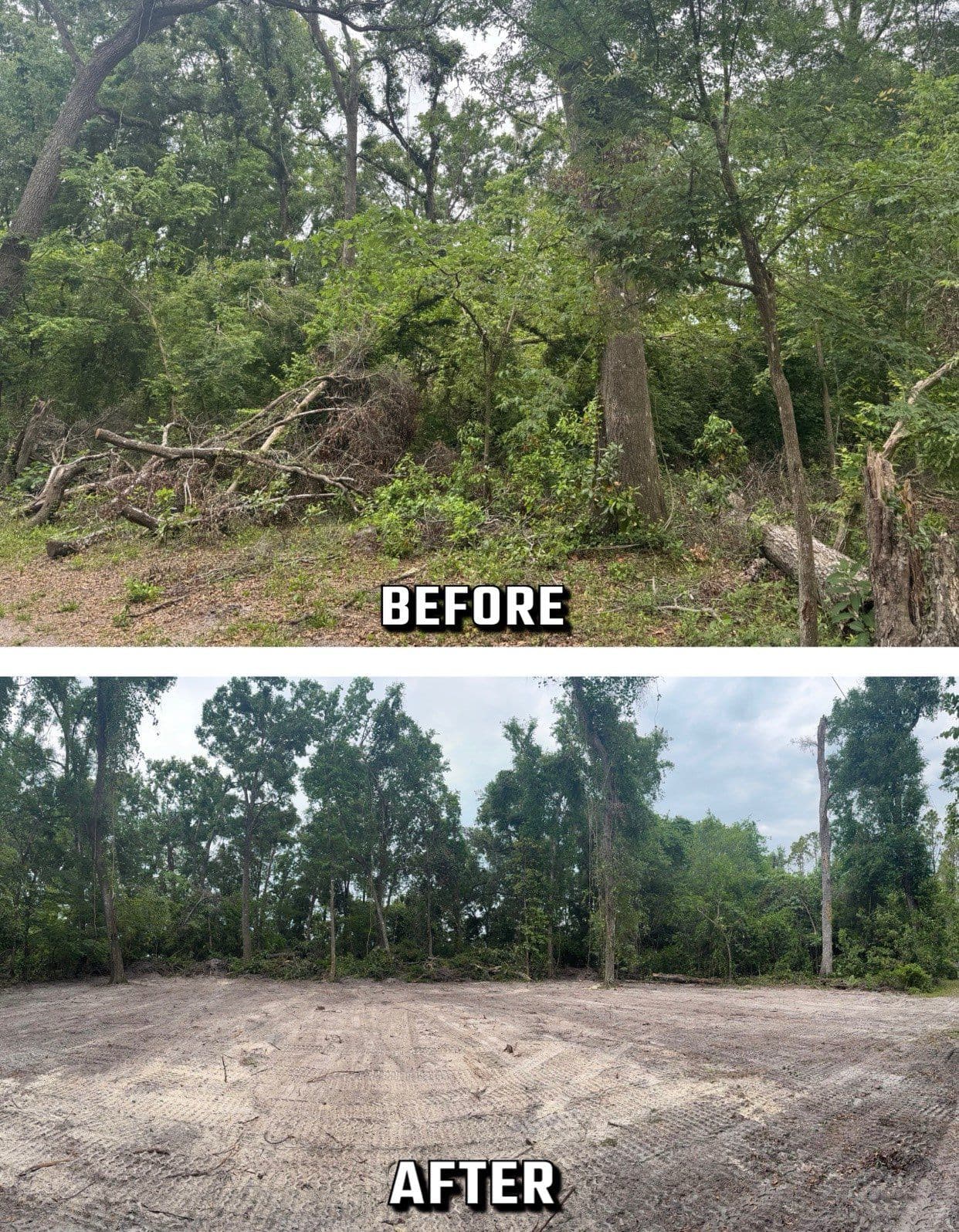 Project Transforming Overgrown Areas in Branford - Apex Success image