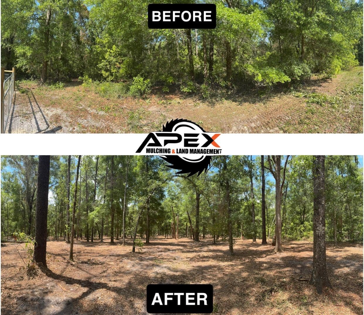 Transforming Overgrown Land in Branford FL image