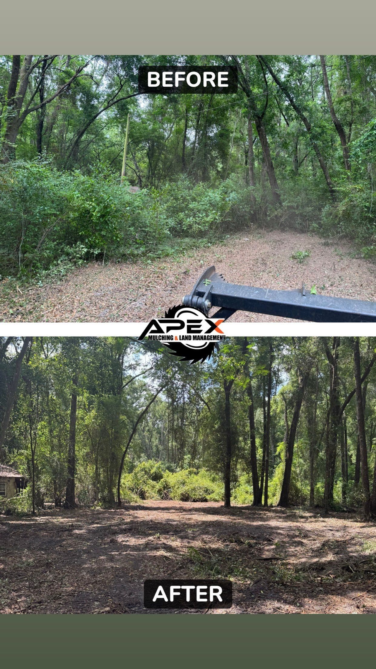 High Springs Lands Transformed for Easy Access image