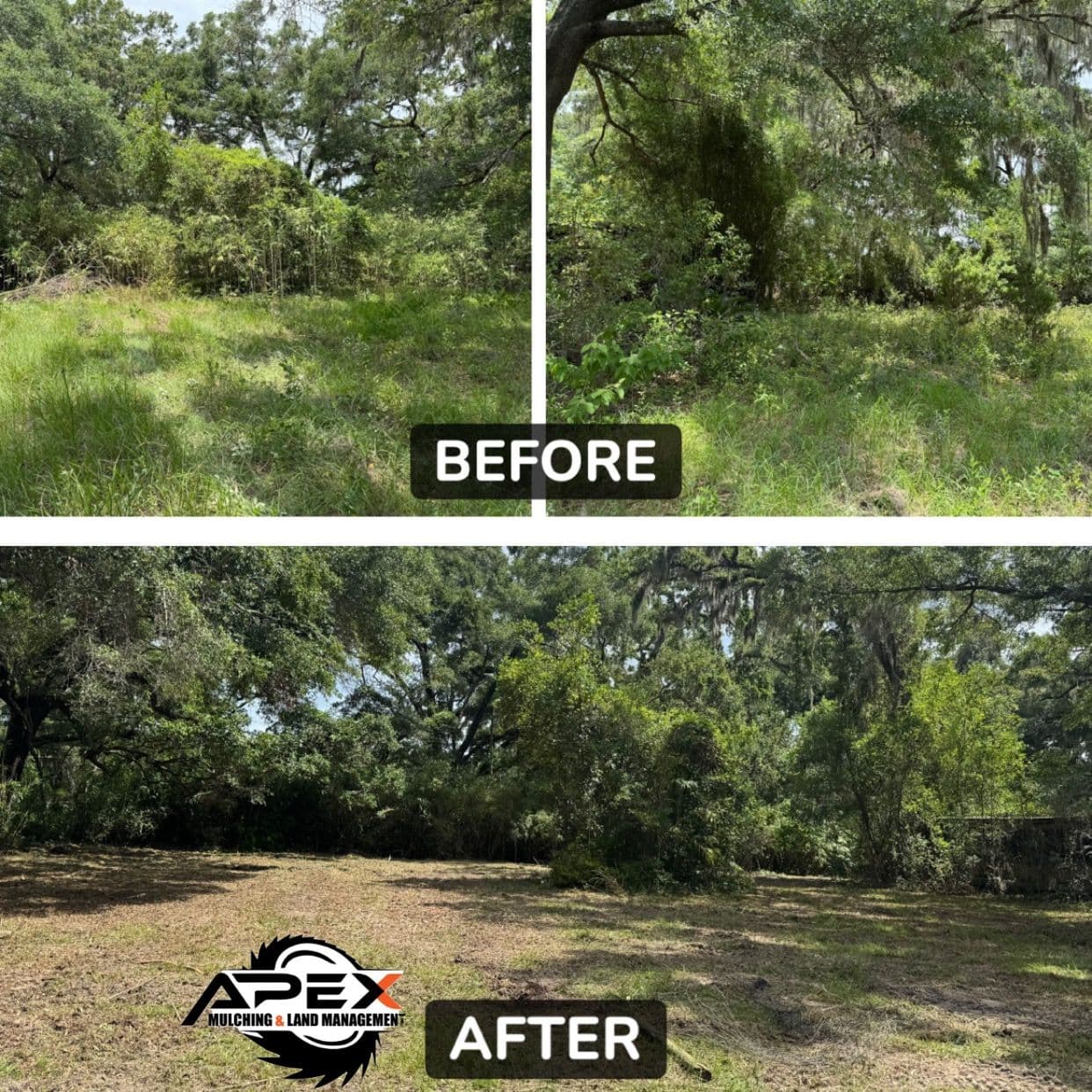 Transforming High Springs with Expert Land Clearing image