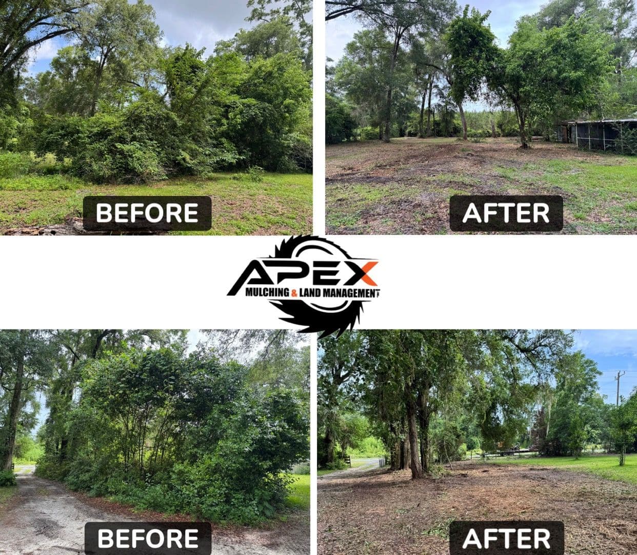 Project Branford FL Land Clearing Transformation Success image