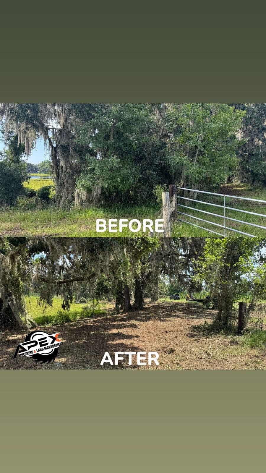 Transform Your Landscape with Apex Mulching image