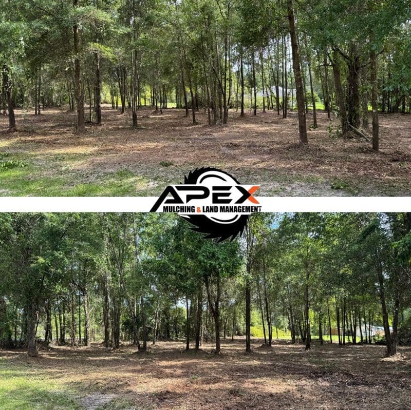 Gallery photos for Transform Your Land with Expert Mulching and Clearing: Image #1