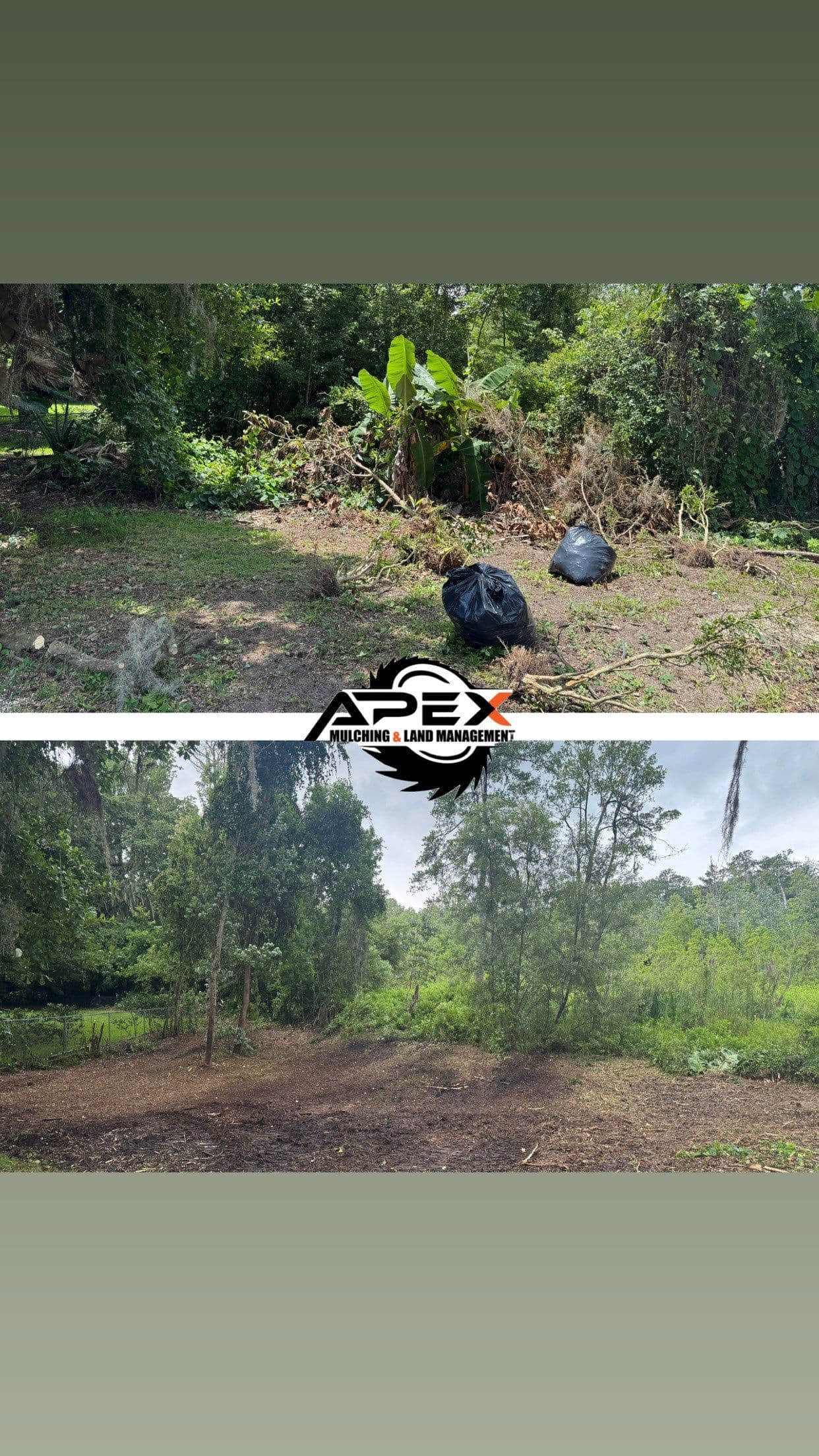 Project Transform Your Backyard with Apex Mulching image