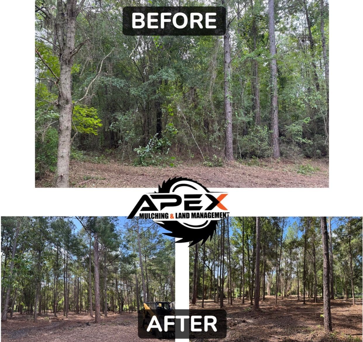 Apex Land Transformation in Lake Butler image