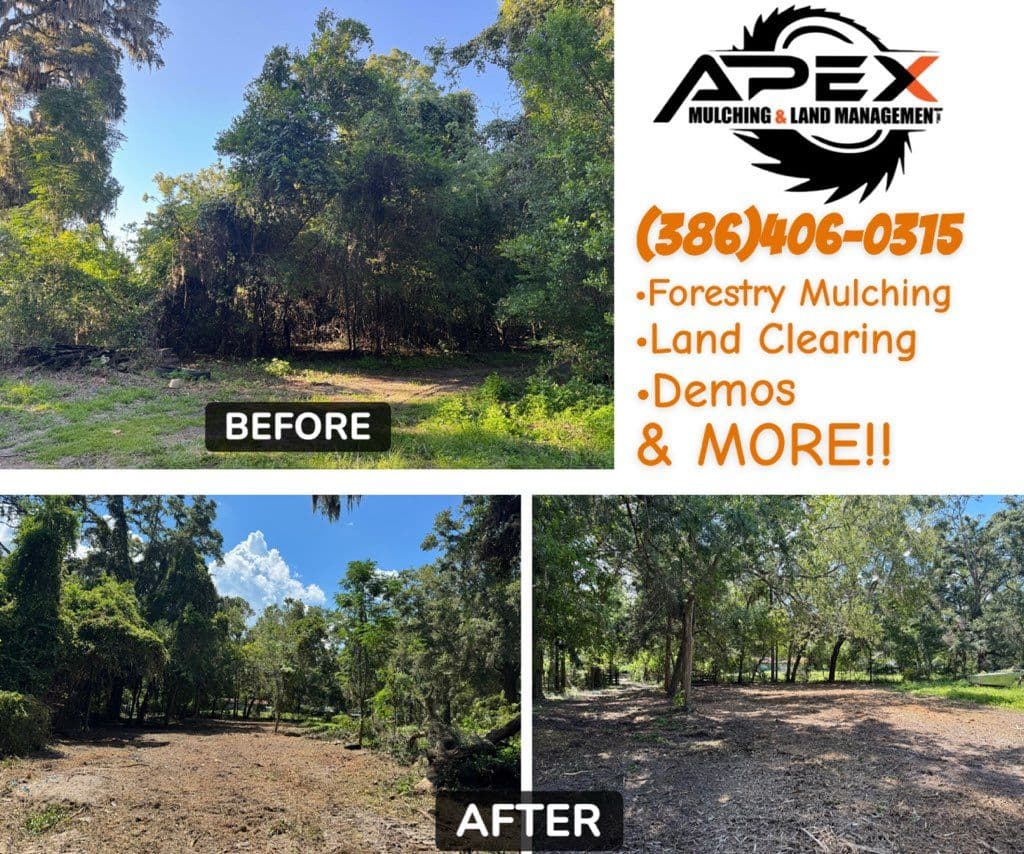 Transforming High Springs with Expert Forestry Mulching image