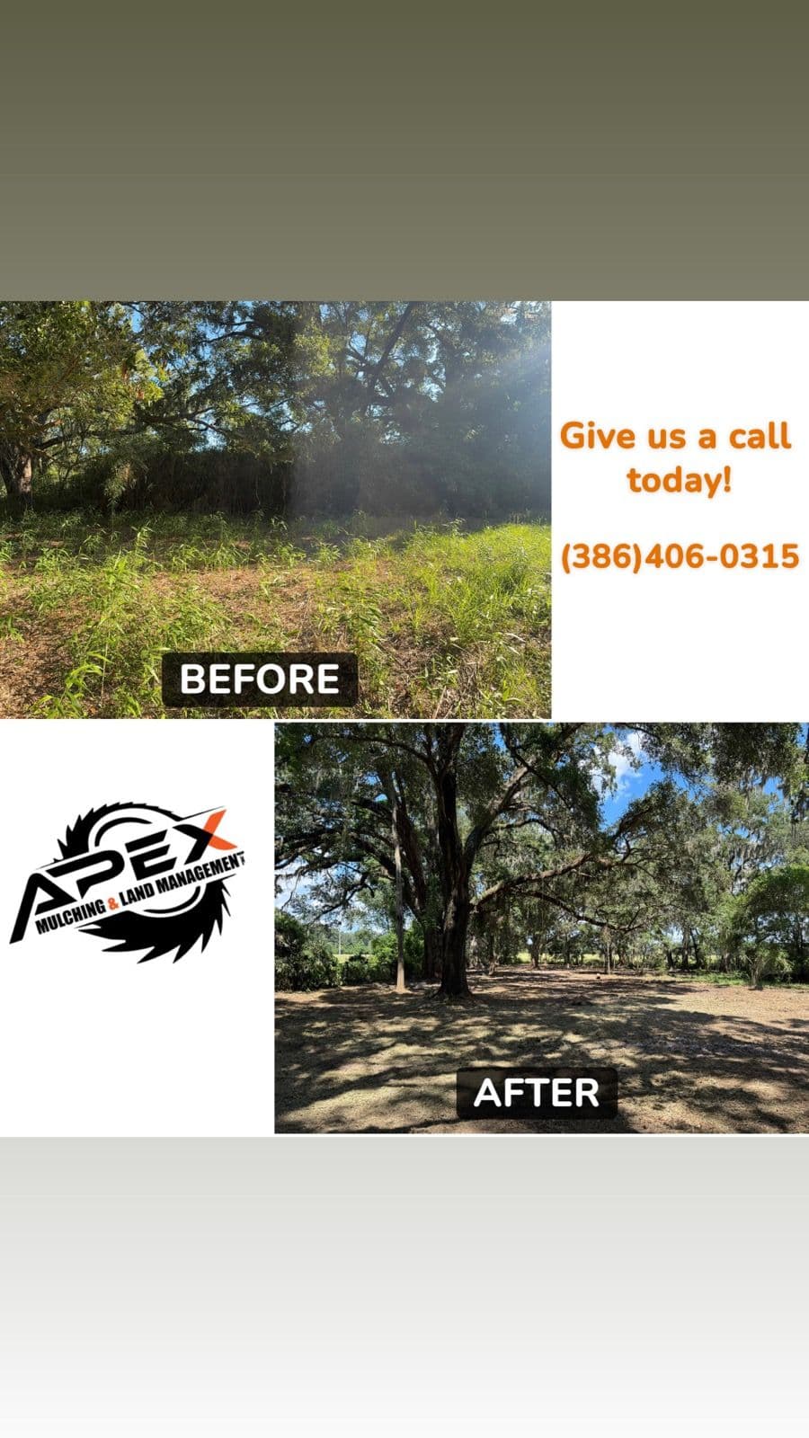 Gallery photos for Transforming High Springs with Expert Forestry Mulching: Image #1