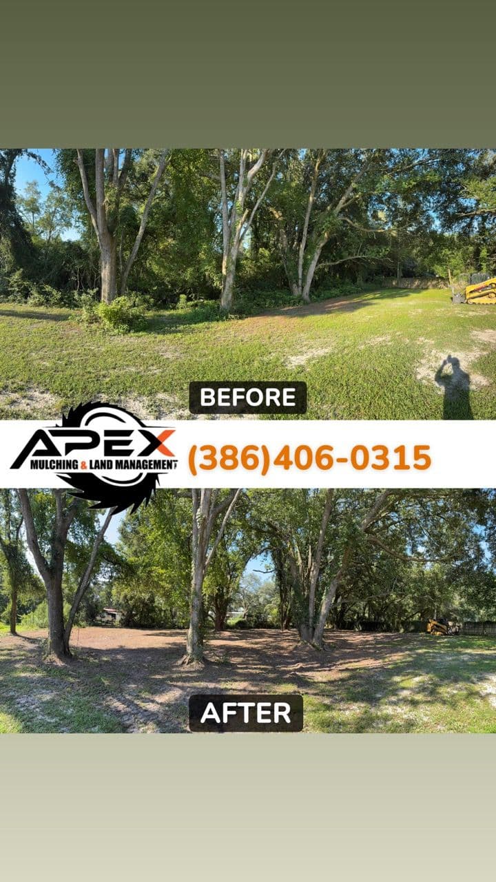 Project Transform Your Lake City Backyard with Expert Mulching image