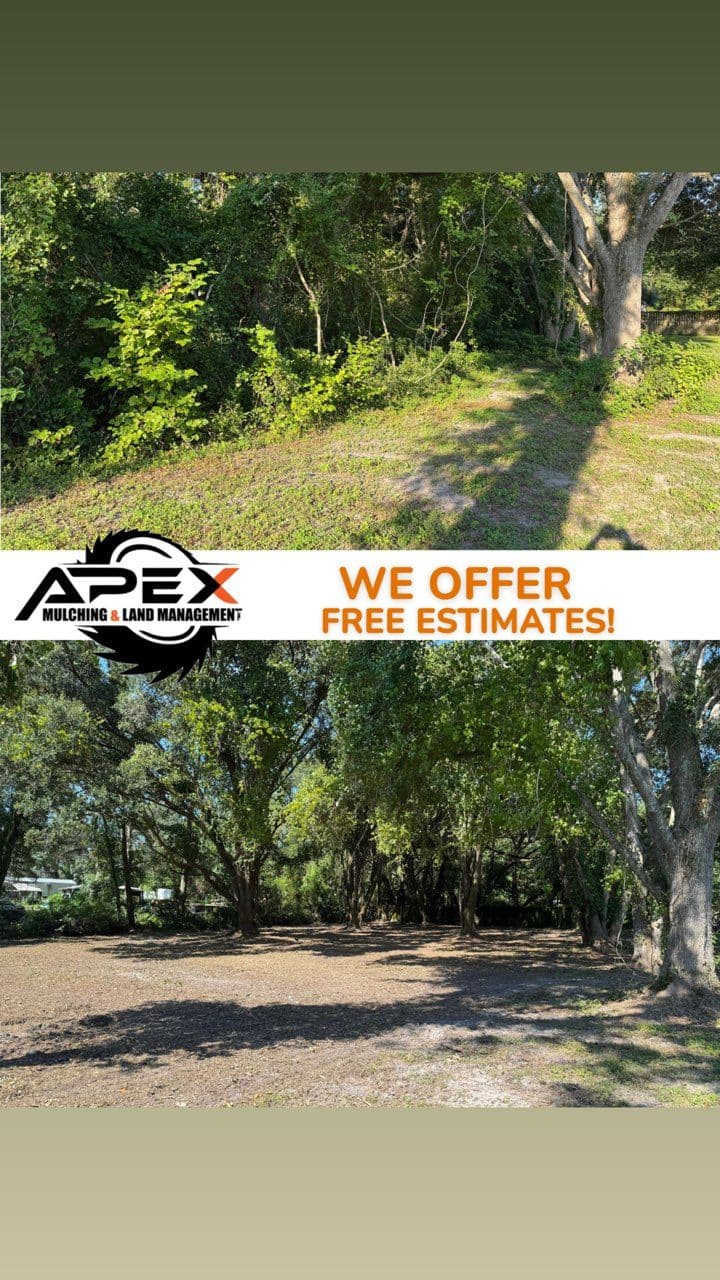 Gallery photos for Transform Your Lake City Backyard with Expert Mulching: Image #1