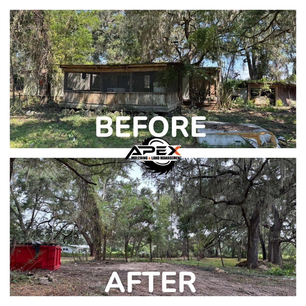 Gallery photos for Transforming Overgrown Spaces with Expert Demolition: Image #1