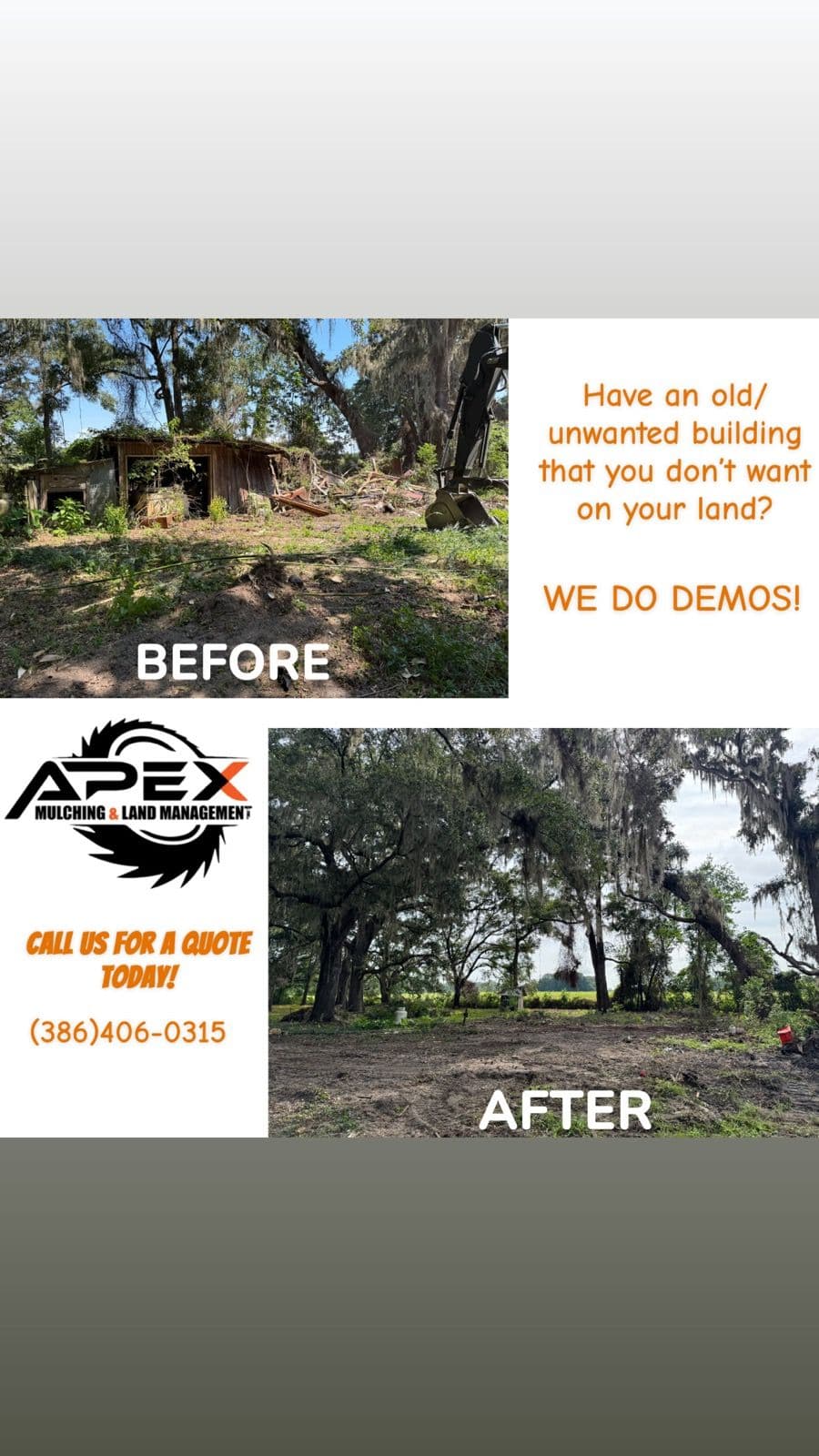 Gallery photos for Transforming Overgrown Spaces with Expert Demolition: Image #2