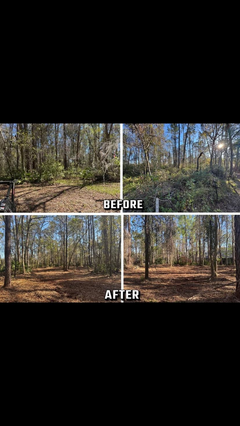 Award-Winning Land Clearing's image