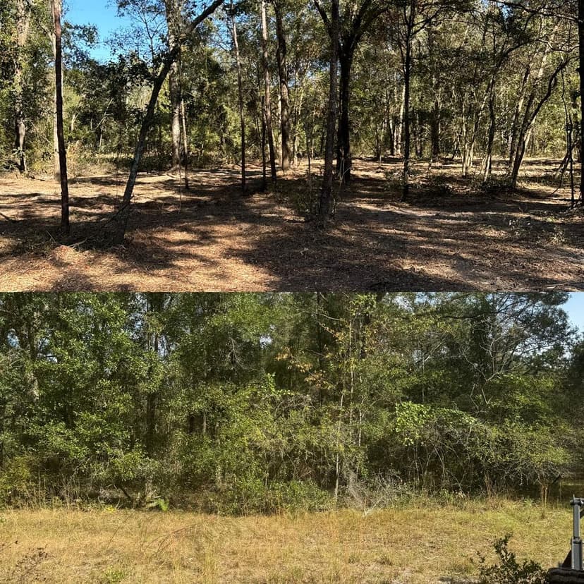 Premier Mulching Solutions's image