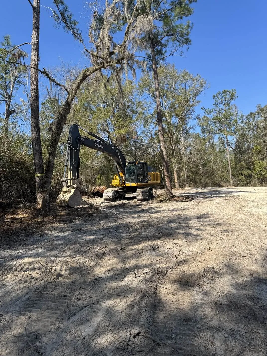 Forestry Mulching and Underbrush Clearing
